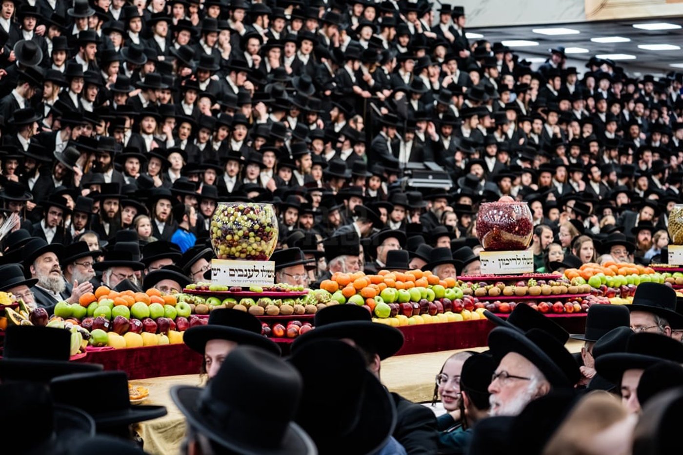 האדמו"ר מסאטמר בטיש ט"ו בשבט