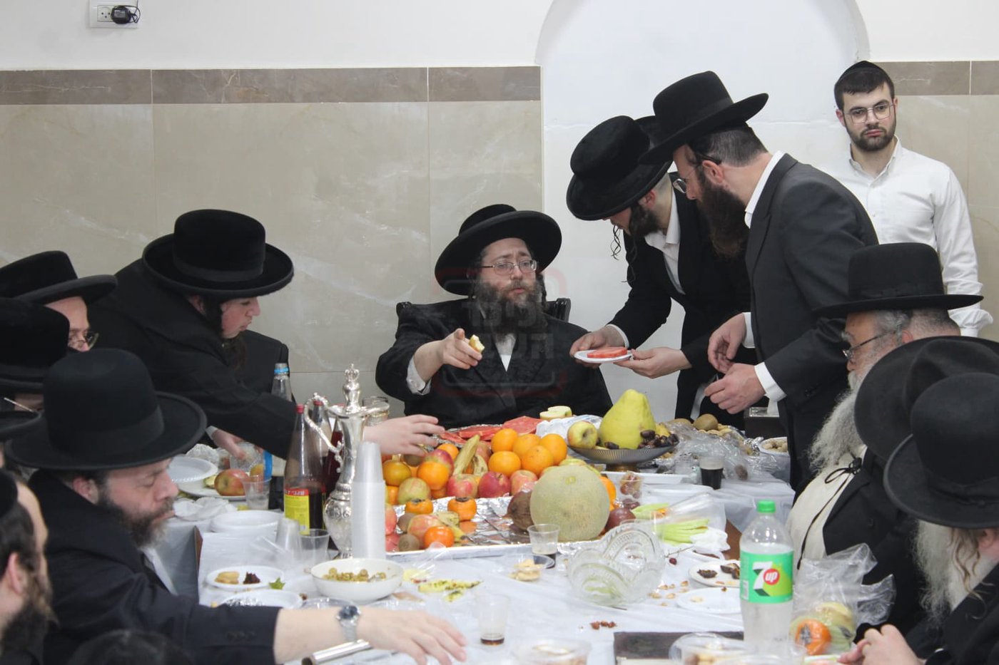 ט"ו בשבט בחצה"ק צאנז ז'ימגראד