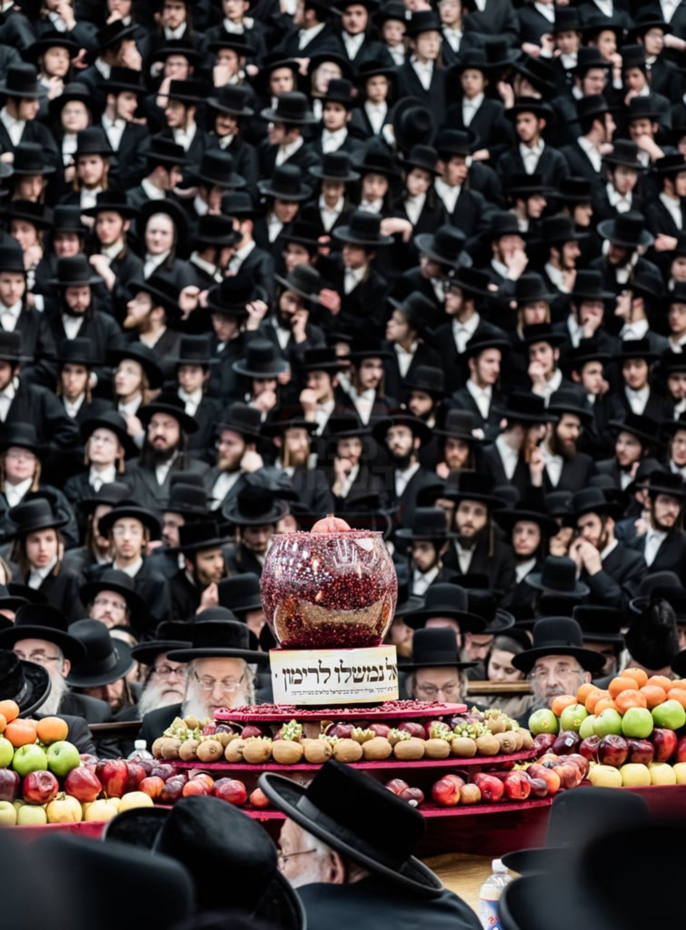 האדמו"ר מסאטמר בטיש ט"ו בשבט