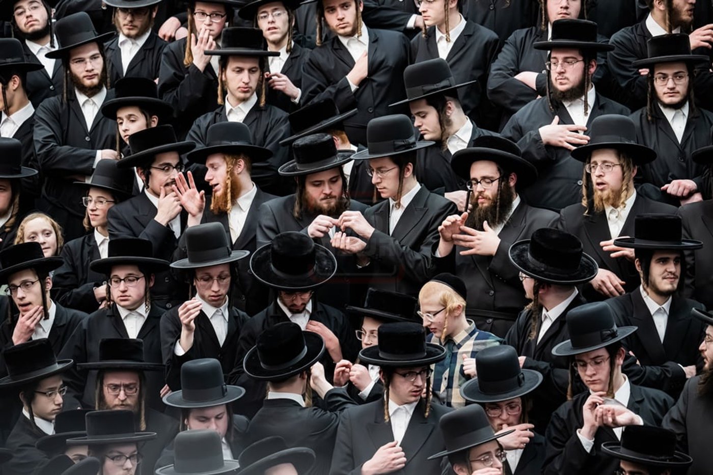 האדמו"ר מסאטמר בטיש ט"ו בשבט