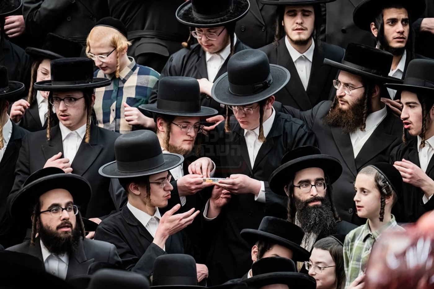 האדמו"ר מסאטמר בטיש ט"ו בשבט