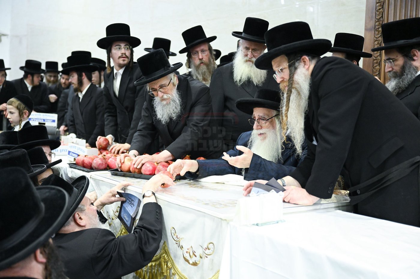 ט"ו בשבט בחצה"ק צאנז