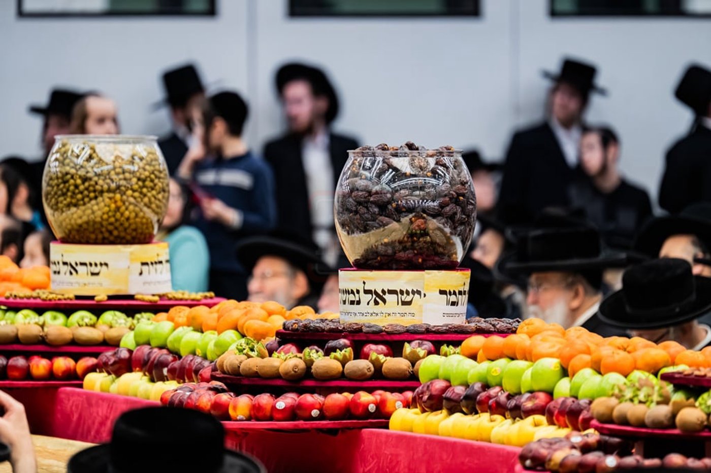 האדמו"ר מסאטמר בטיש ט"ו בשבט