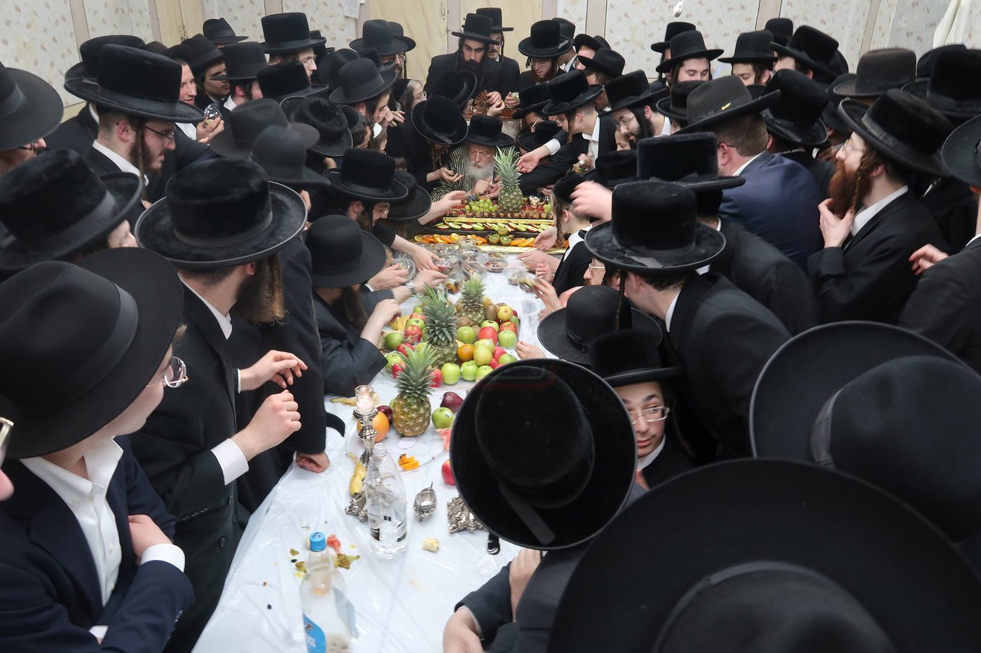 ט"ו בשבט במבקשי אמונה