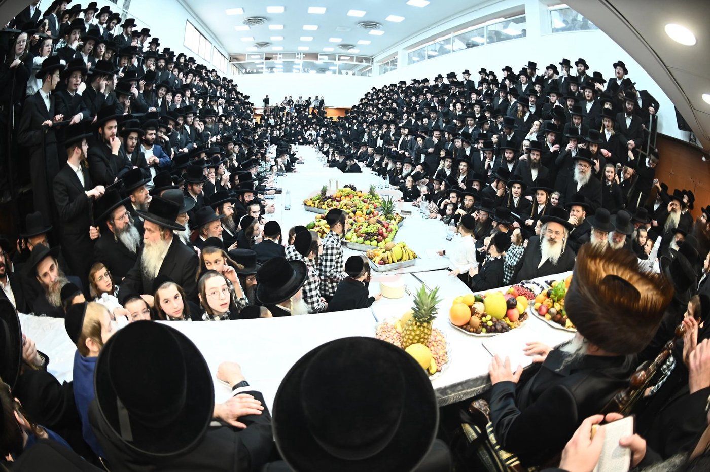 ט"ו בשבט בחצה"ק נדבורנה