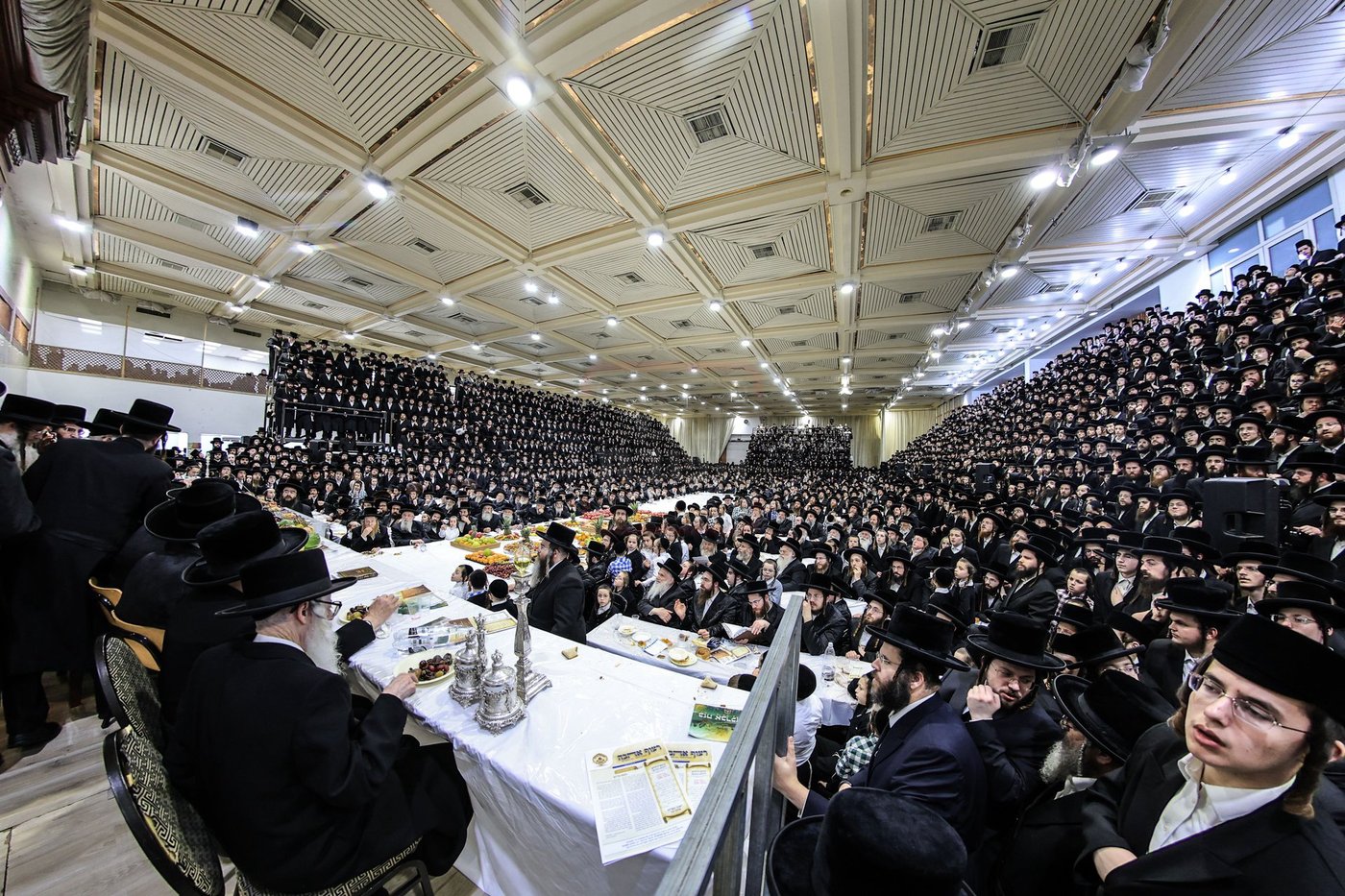 ט"ו בשבט בחצה"ק צאנז