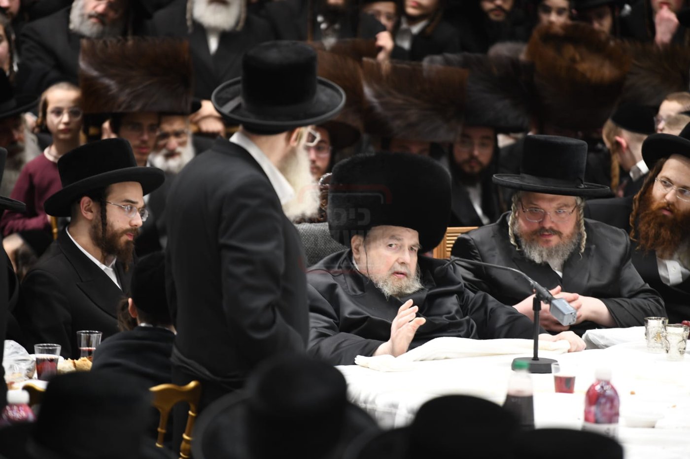 האדמו"ר מבעלזא בטיש ט"ו בשבט 