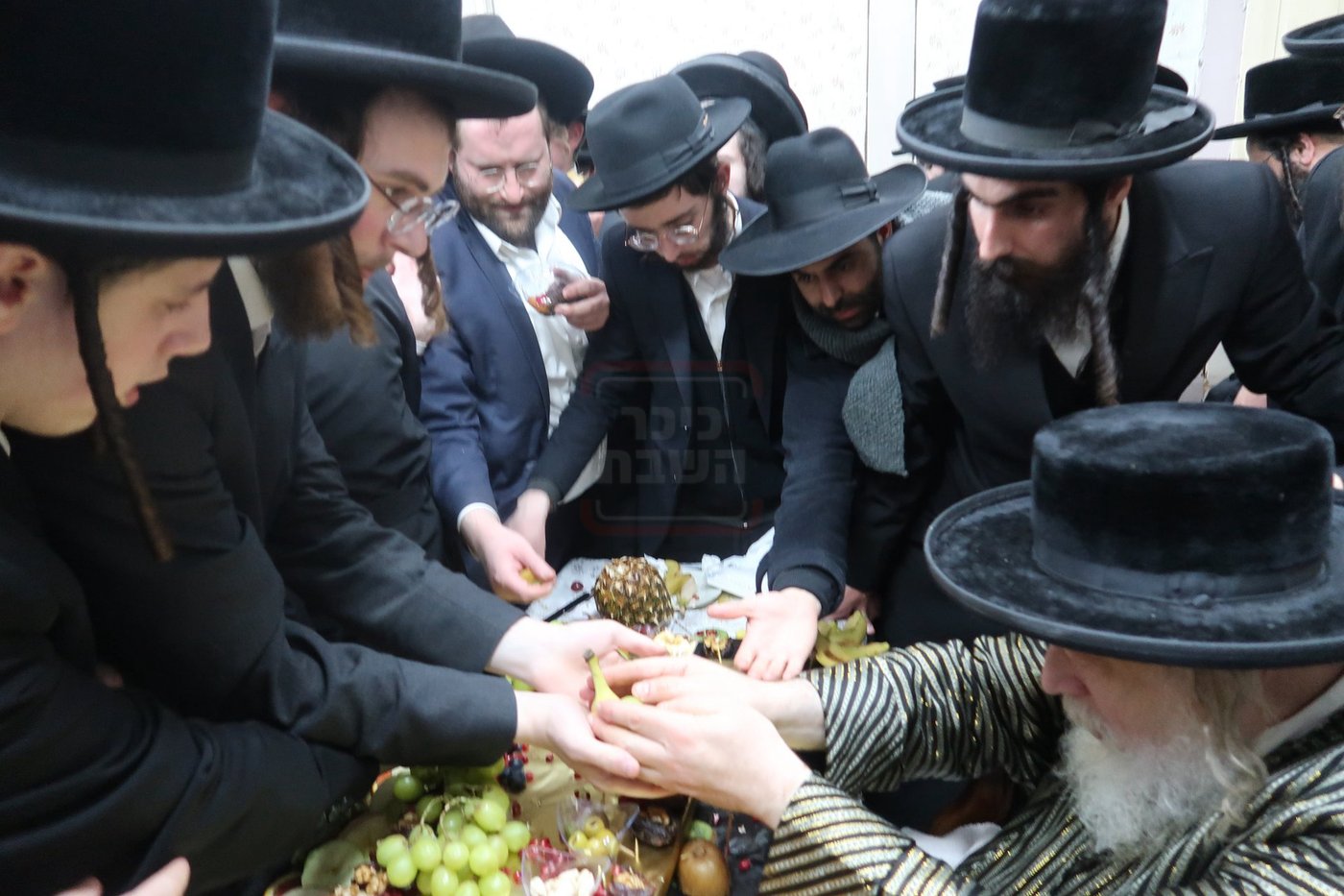 ט"ו בשבט במבקשי אמונה