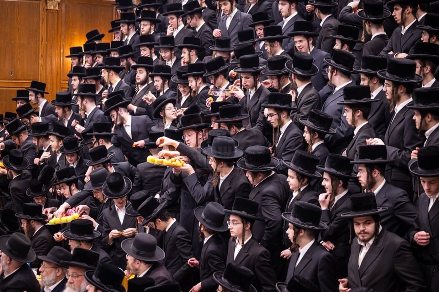 חמשה עשר בשבט בחצר הקודש צאנז קלויזענבורג