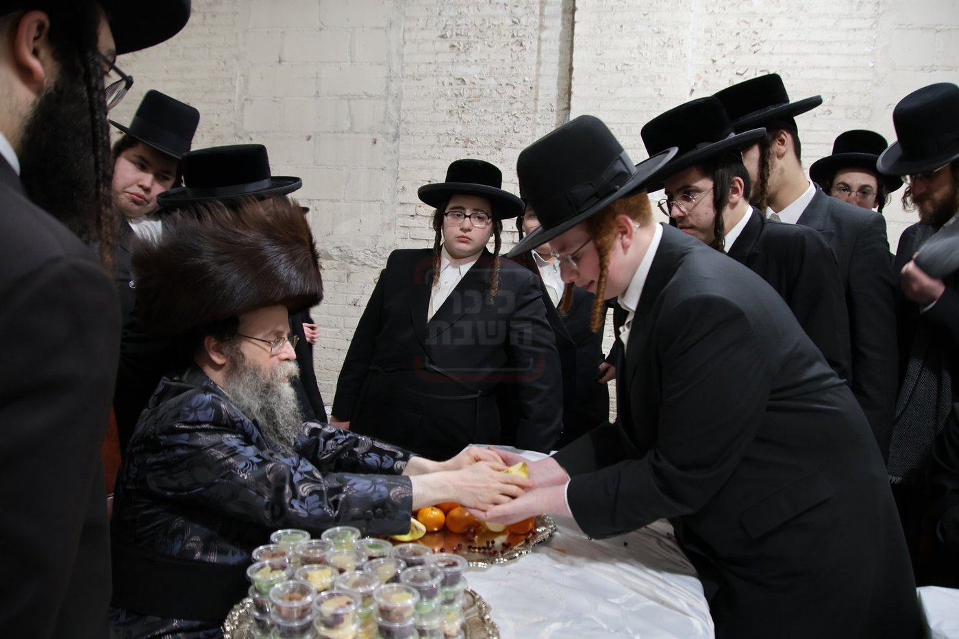 טיש ט"ו בשבט אצל האדמו"ר מקרעטשניף סיגעט וויליאמסבורג