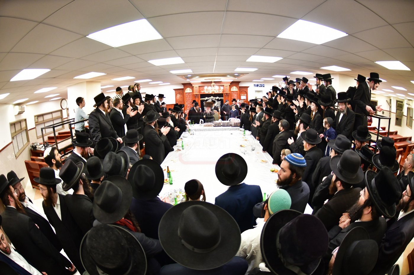 ט"ו בשבט בחצה"ק קרעטשניף קריית גת