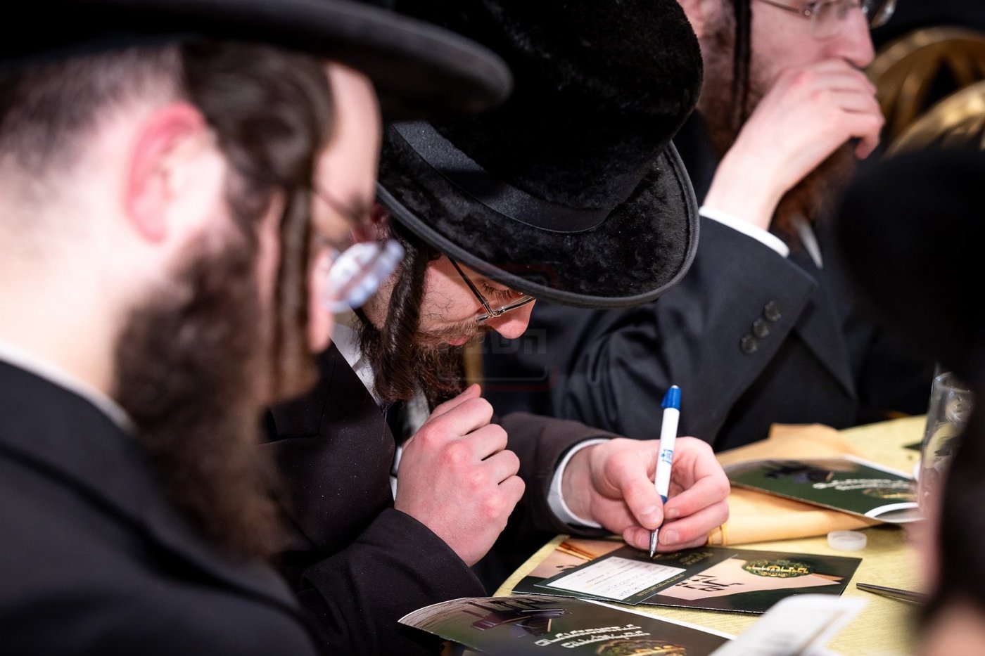 מעמד ירושתינו לטובת צדקת ארה"ק ד'באבוב 45