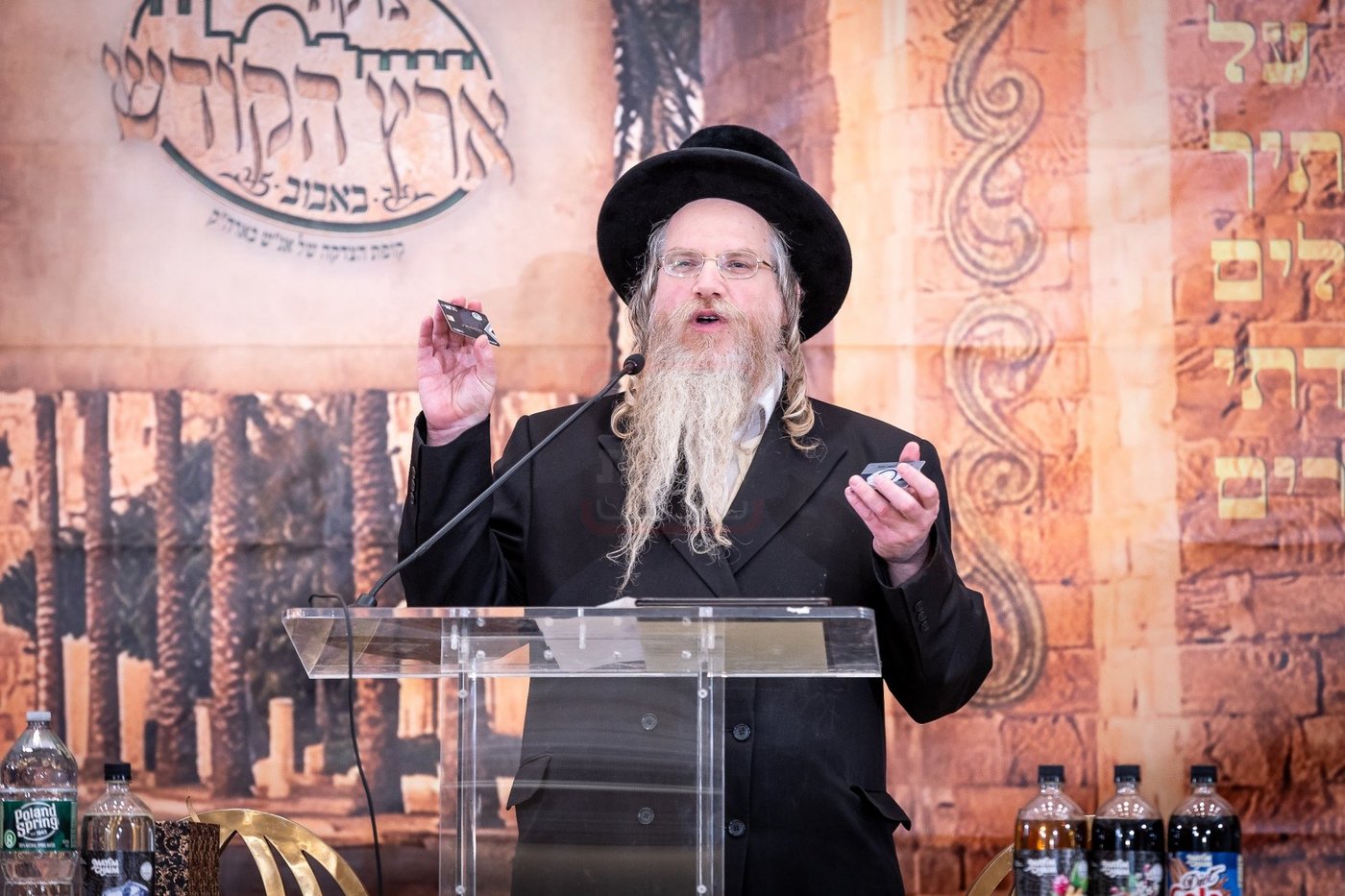 מעמד ירושתינו לטובת צדקת ארה"ק ד'באבוב 45