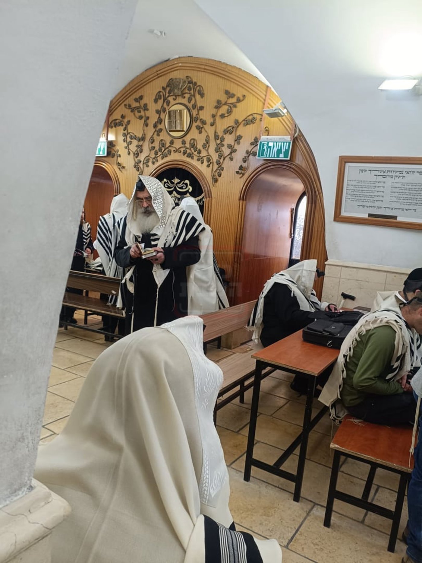 האדמו"ר מדושינסקיא במירון