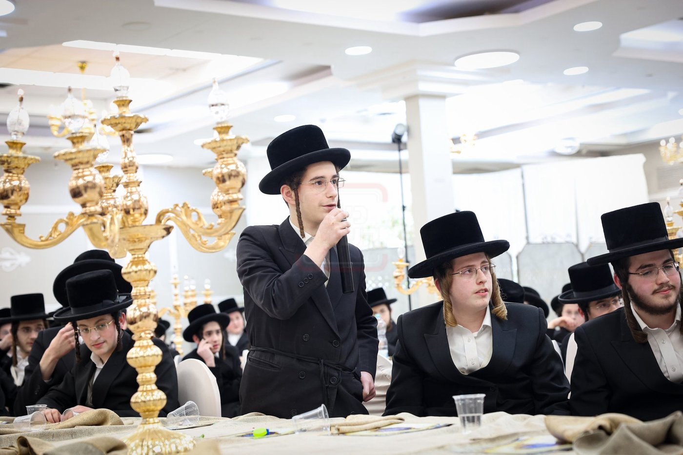 מעמד כבוד התורה בערלוי