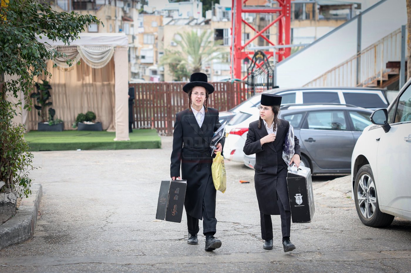 מעמד כבוד התורה בערלוי