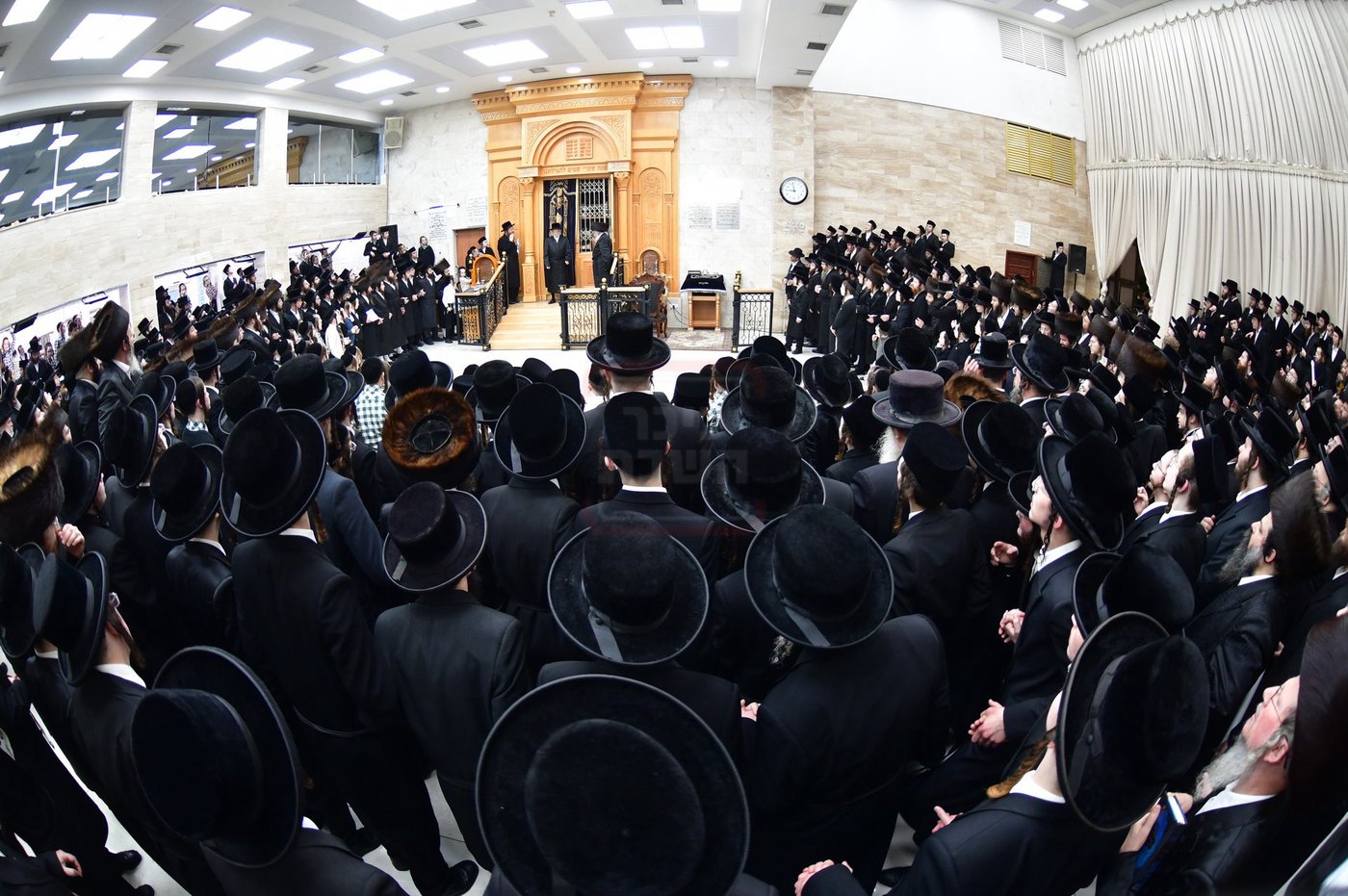 הכנסת ס"ת בסערט ויז'ניץ