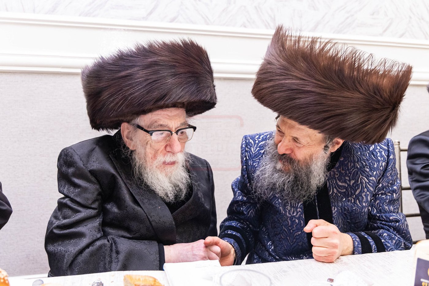 פדיון הבן לנין האדמו"ר מבאבוב 45