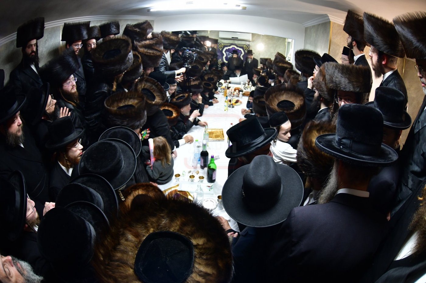 הכנסת ס"ת בסערט ויז'ניץ