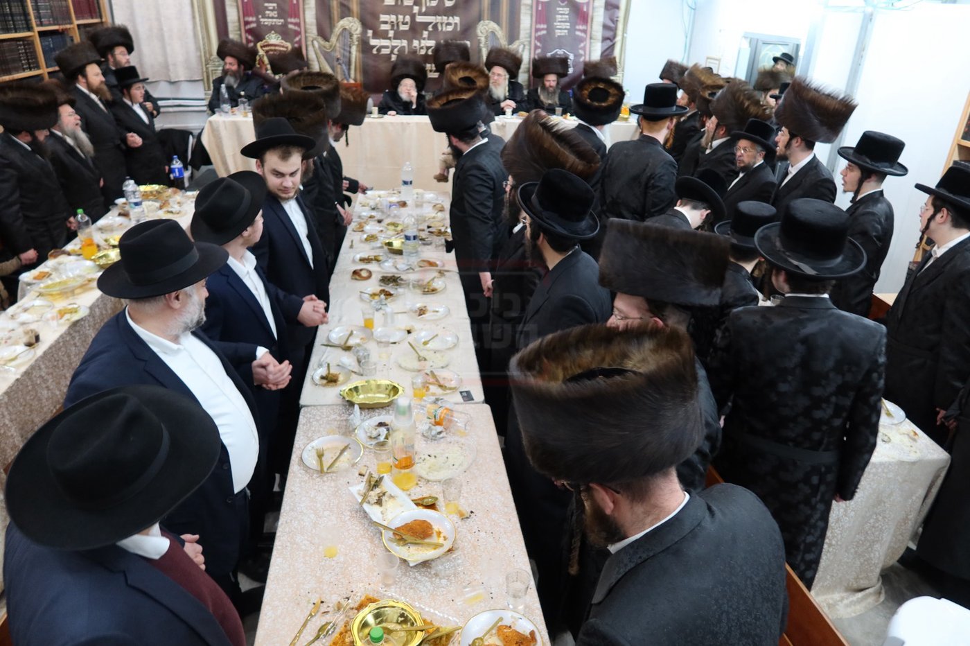 שמחת שבע ברכות לנכדת האדמו"ר מקרעטשניף