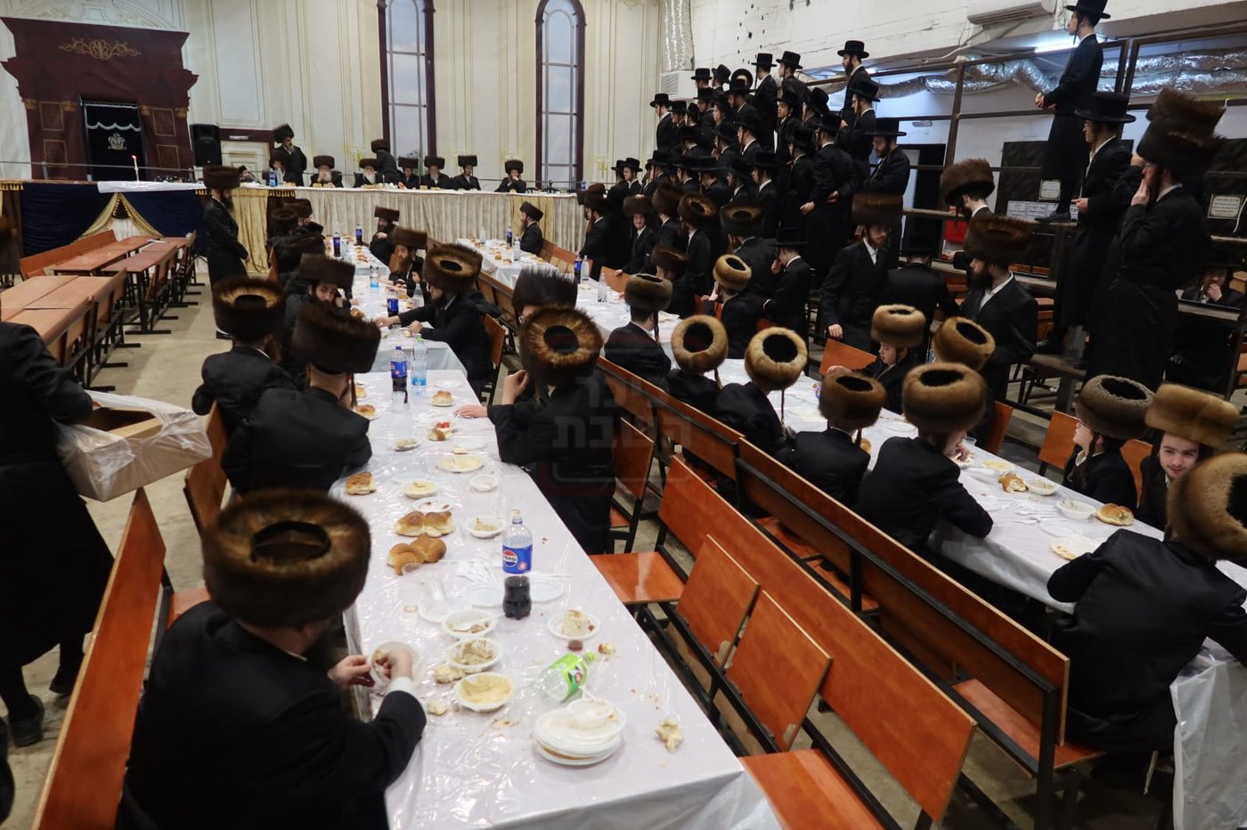 חתן מאל בחצה"ק מכנובקא בעלזא