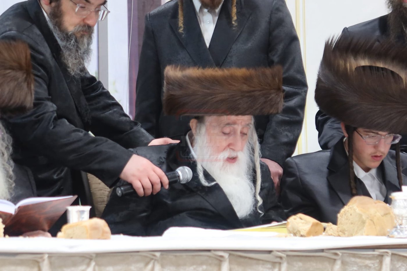 חתן מאל בחצה"ק מכנובקא בעלזא