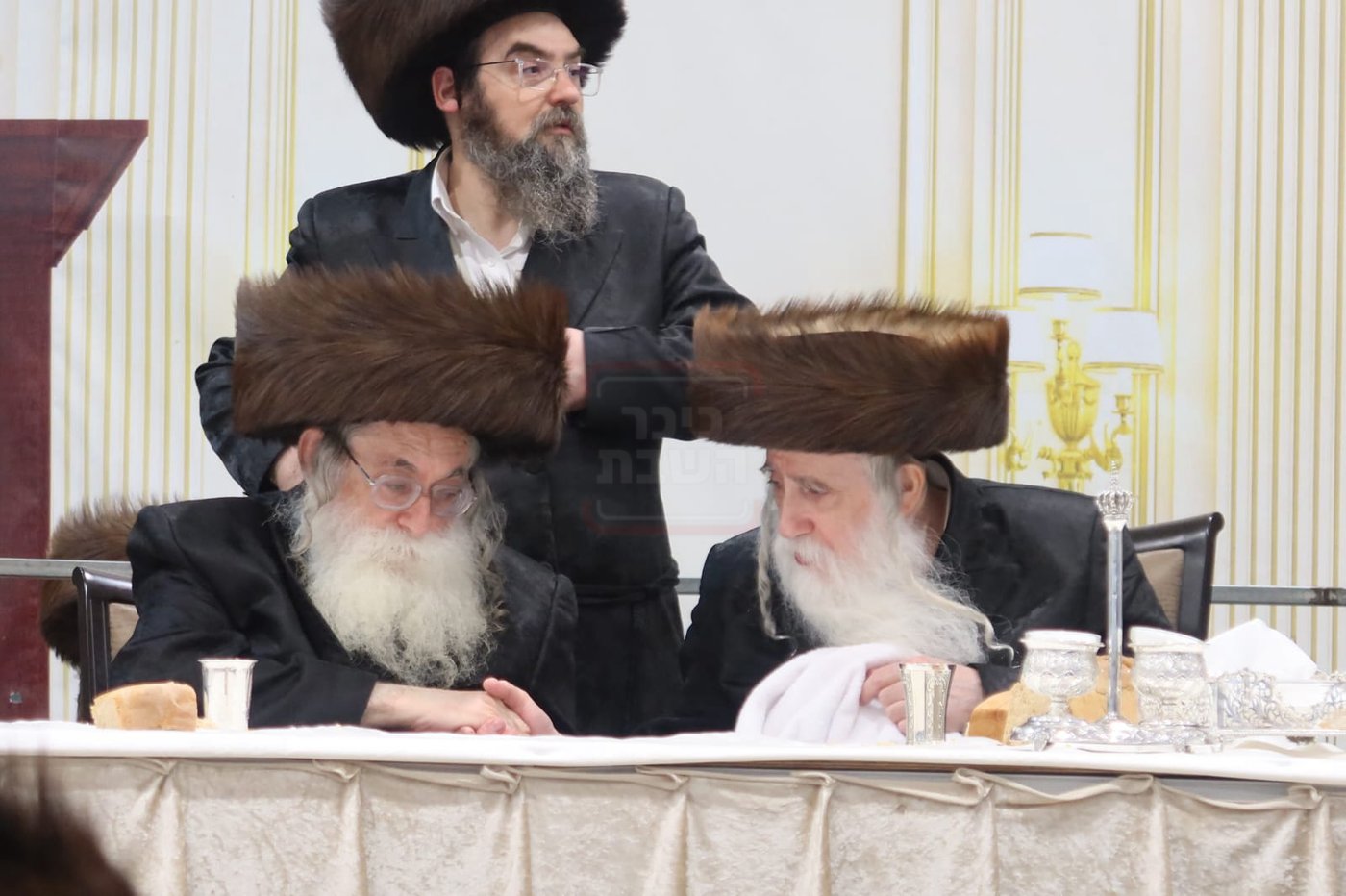 חתן מאל בחצה"ק מכנובקא בעלזא