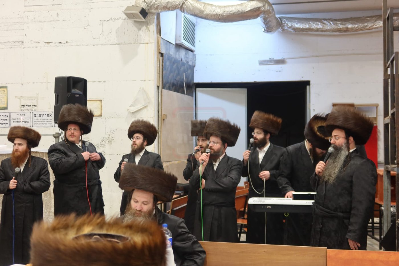 חתן מאל בחצה"ק מכנובקא בעלזא