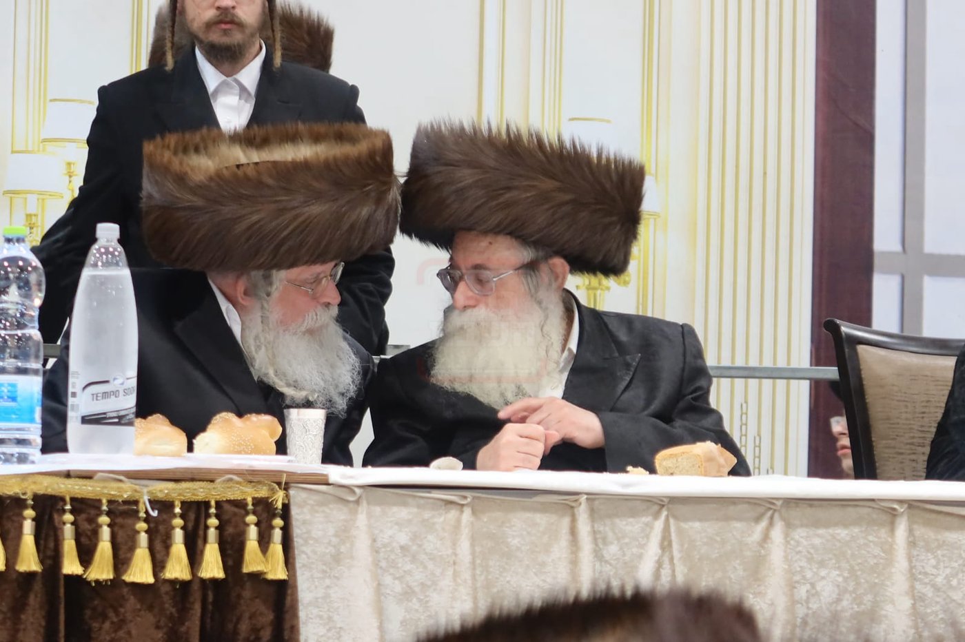 חתן מאל בחצה"ק מכנובקא בעלזא