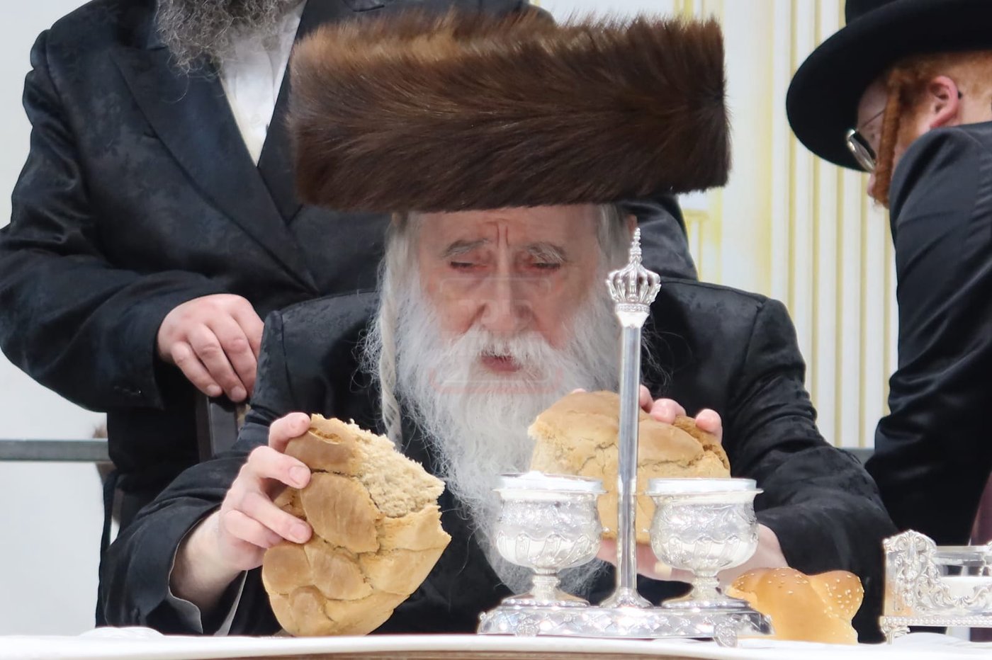 חתן מאל בחצה"ק מכנובקא בעלזא