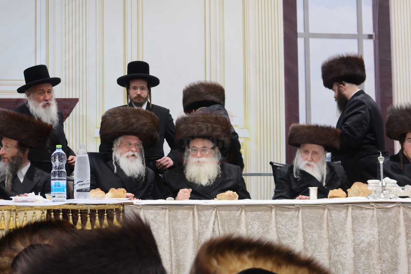 חתן מאל בחצה"ק מכנובקא בעלזא