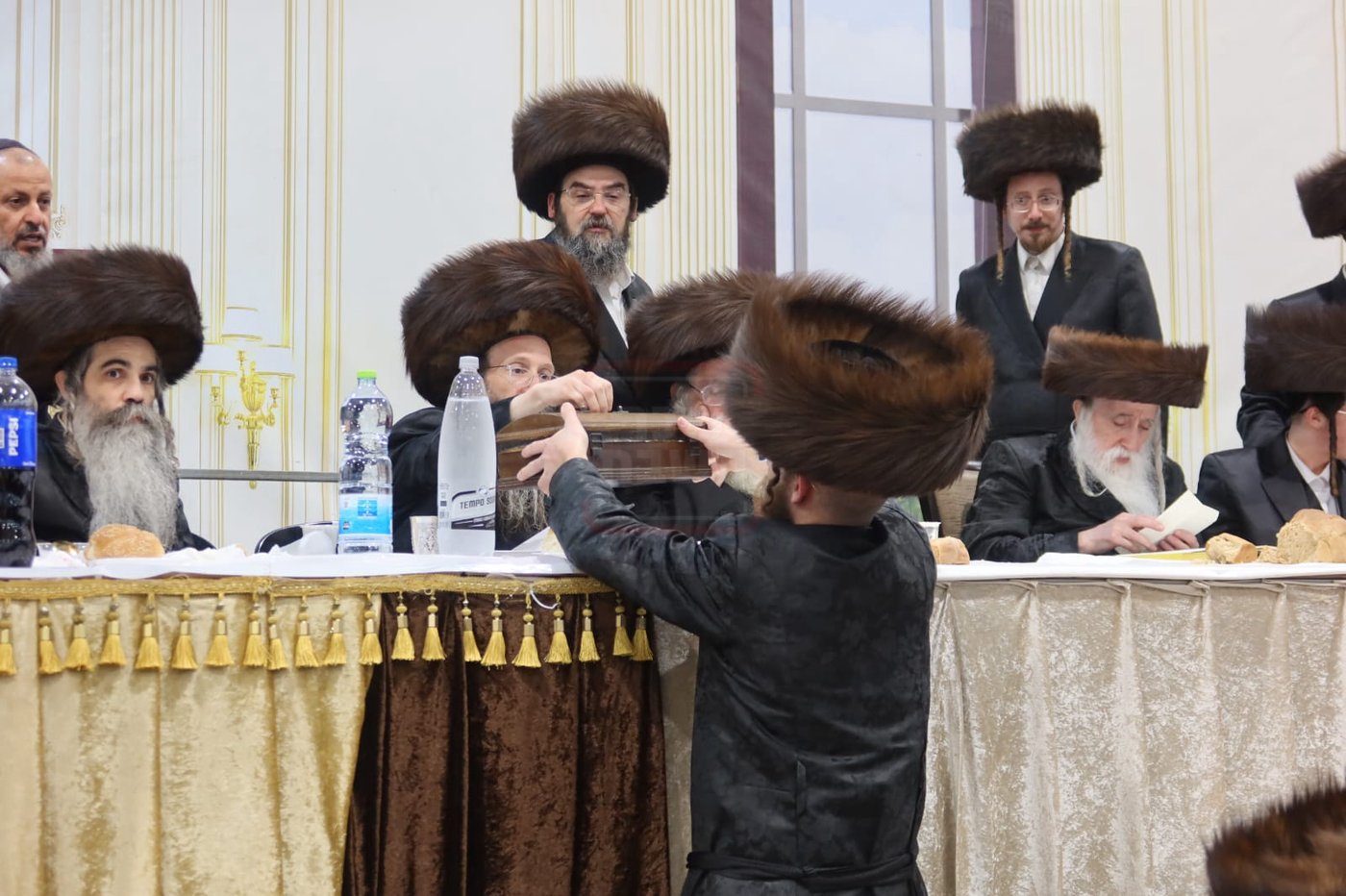 חתן מאל בחצה"ק מכנובקא בעלזא