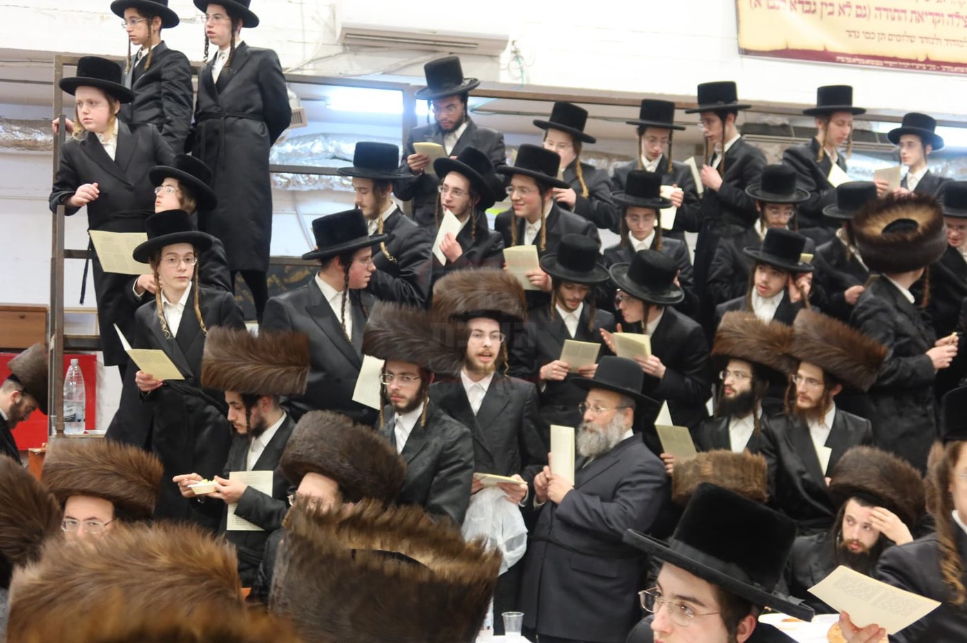 חתן מאל בחצה"ק מכנובקא בעלזא