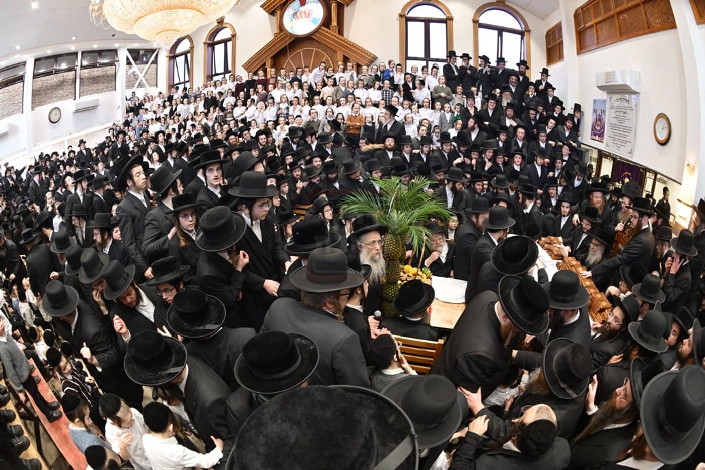 האדמו"ר מסאטמר בביקור הוד במאנשטעסער