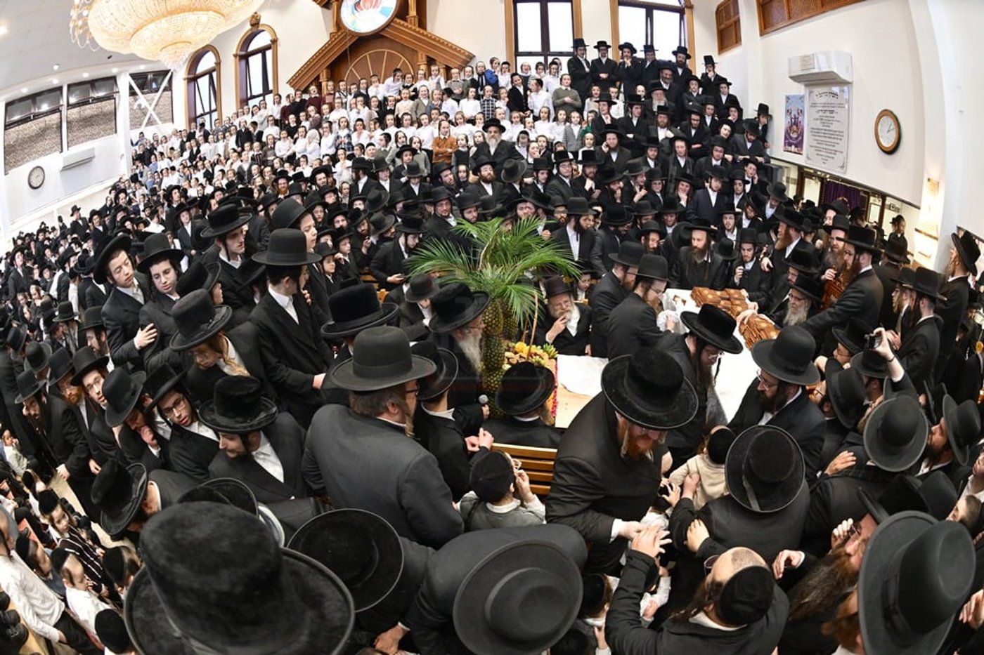 האדמו"ר מסאטמר בביקור הוד במאנשטעסער