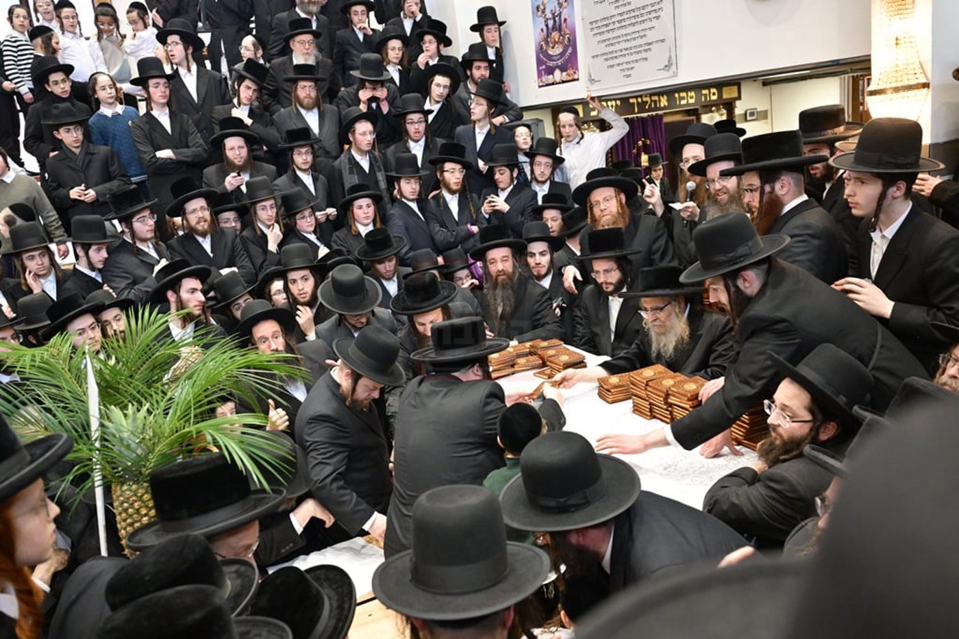 האדמו"ר מסאטמר בביקור הוד במאנשטעסער