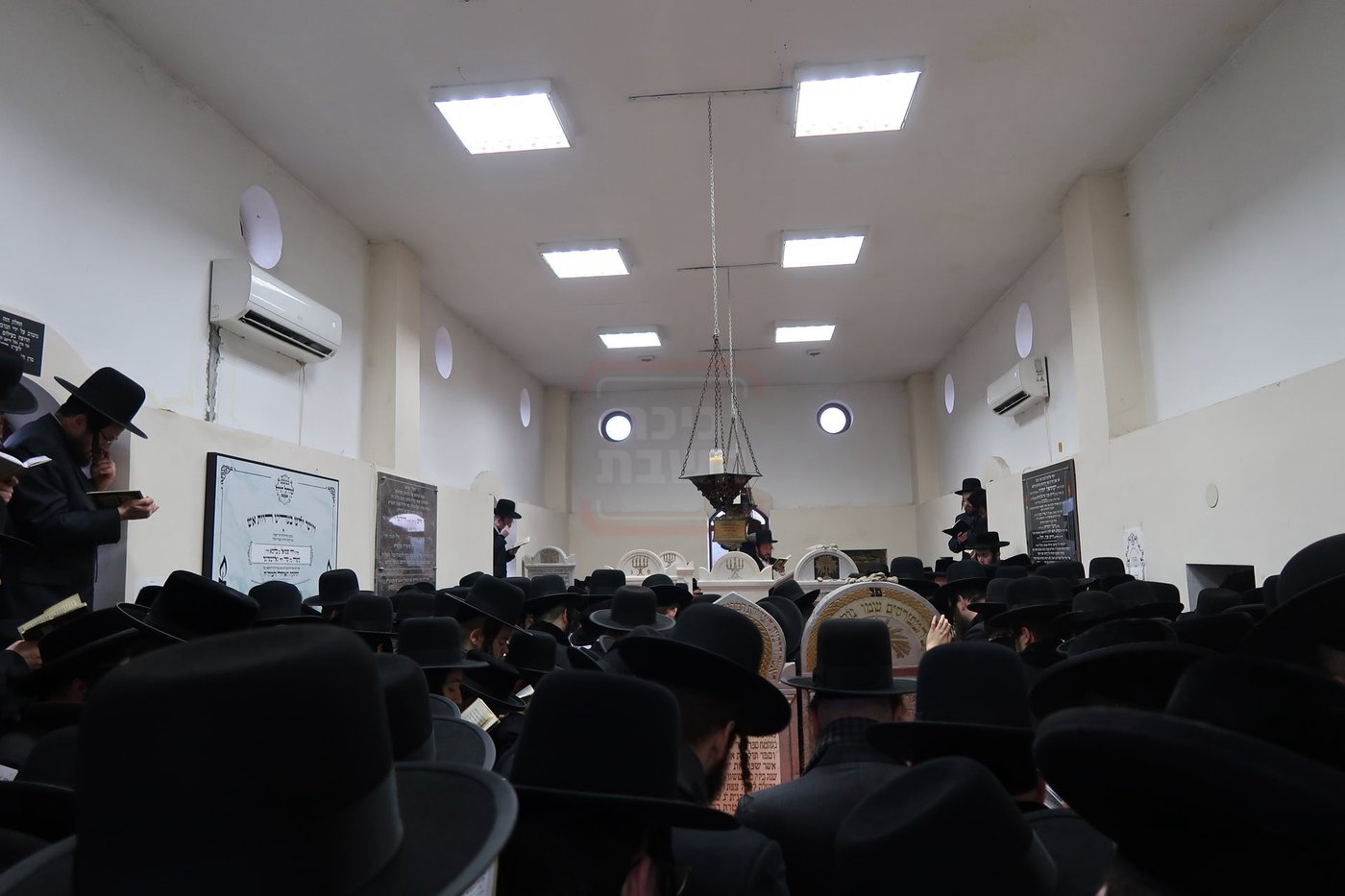 האדמו"ר מסאטמר בסיגעט