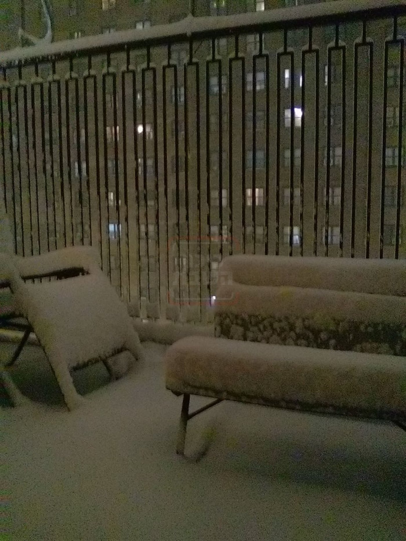 מראות השלג בארה"ב  - אדר תשפ"ו