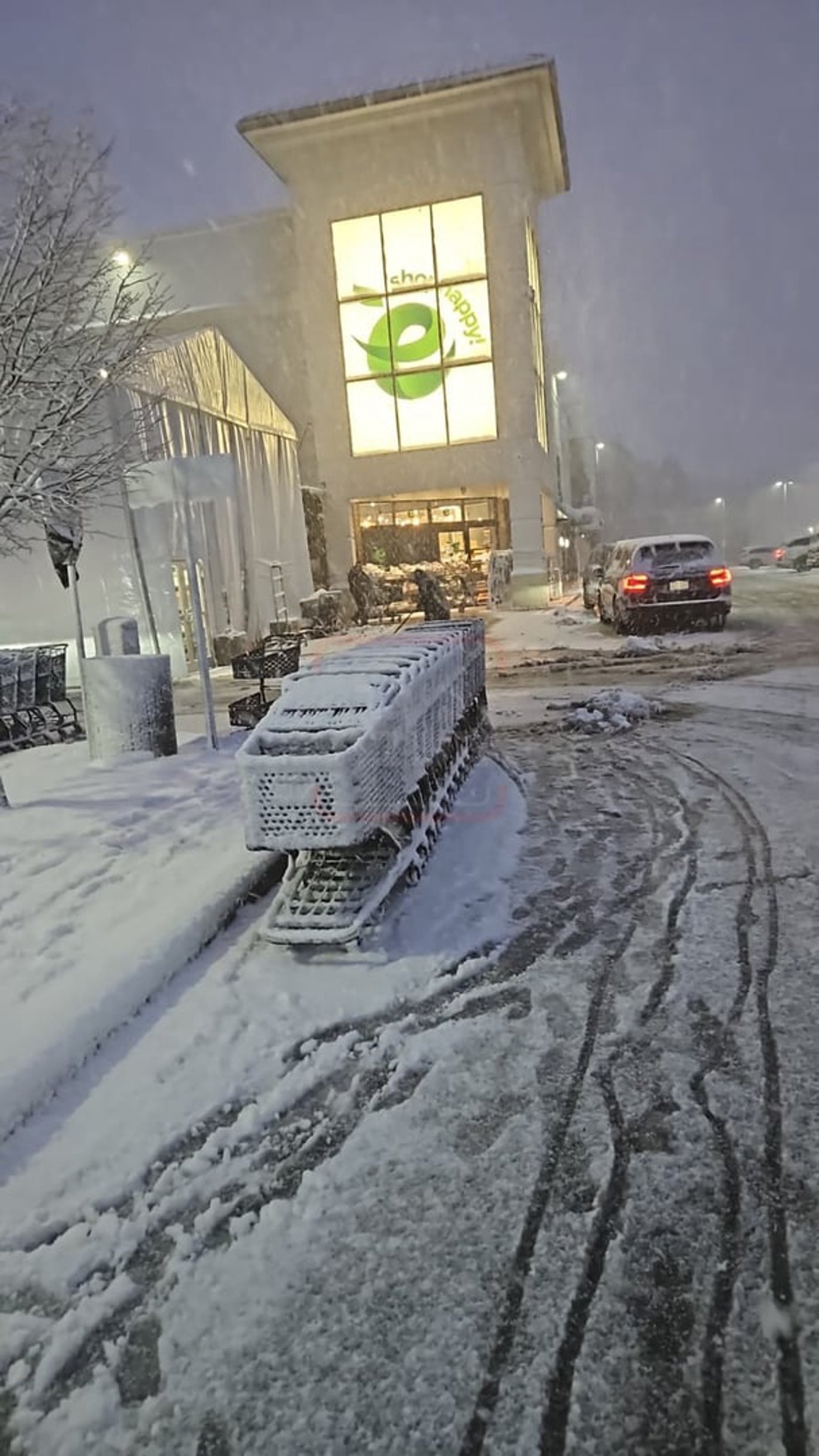 מראות השלג בארה"ב  - אדר תשפ"ו
