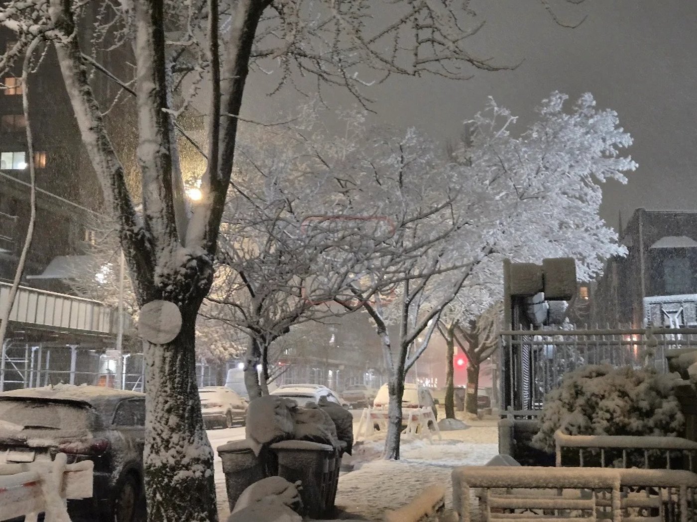 מראות השלג בארה"ב  - אדר תשפ"ו