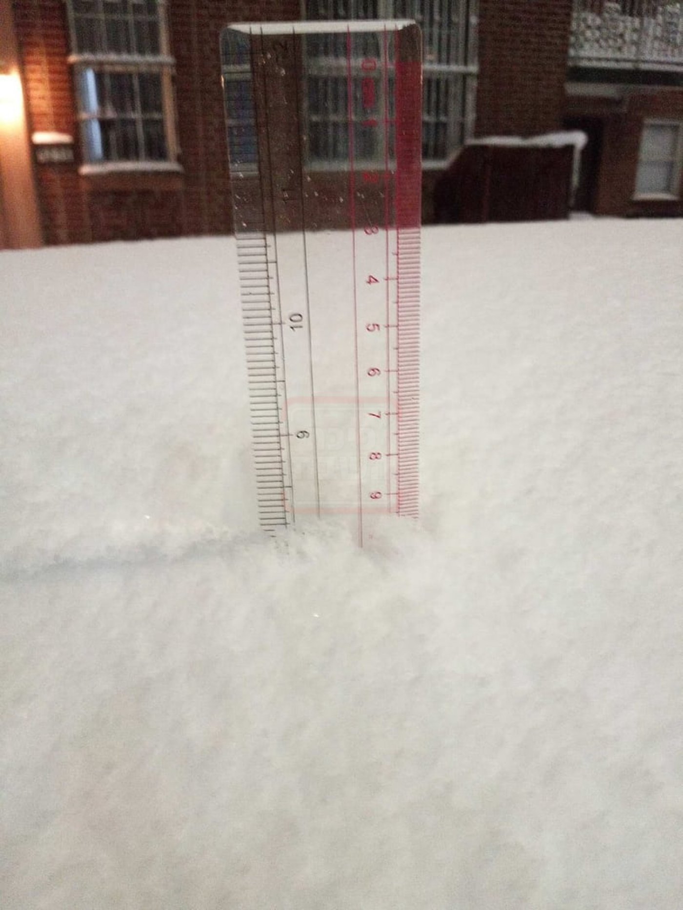 מראות השלג בארה"ב  - אדר תשפ"ו