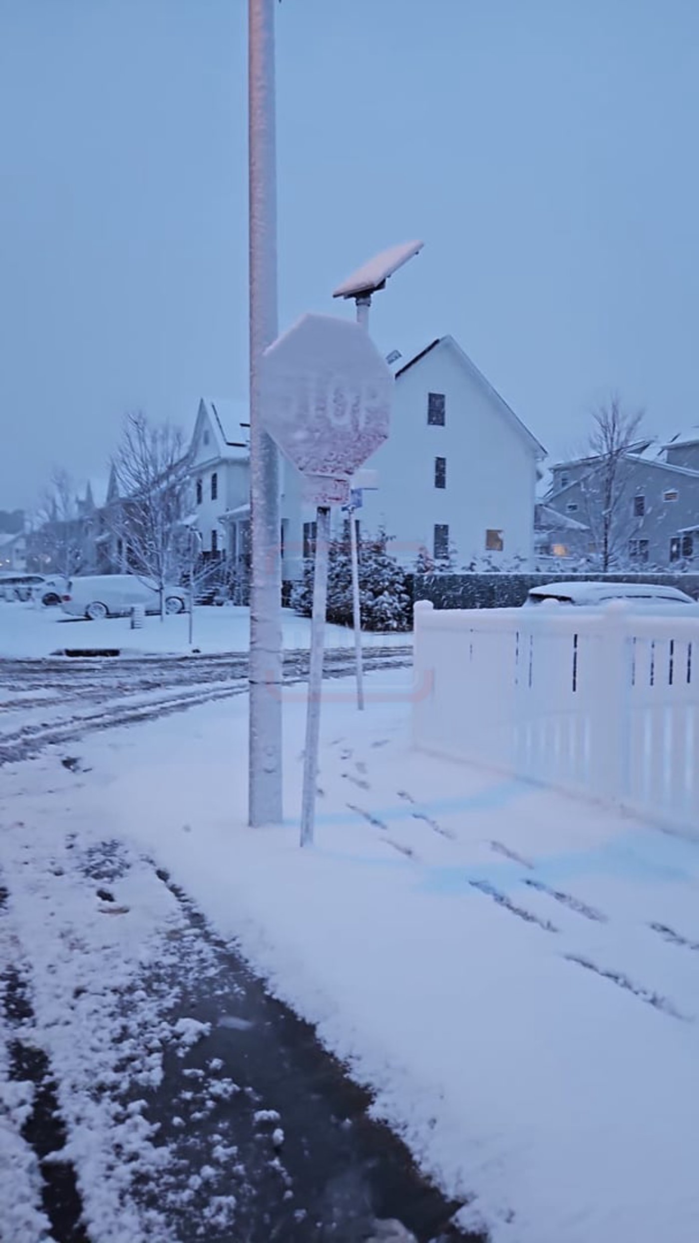 מראות השלג בארה"ב  - אדר תשפ"ו