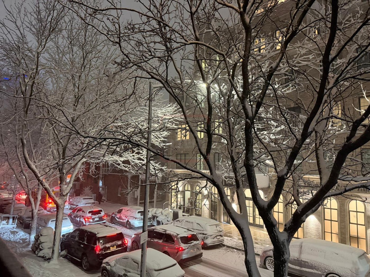 מראות השלג בארה"ב  - אדר תשפ"ו