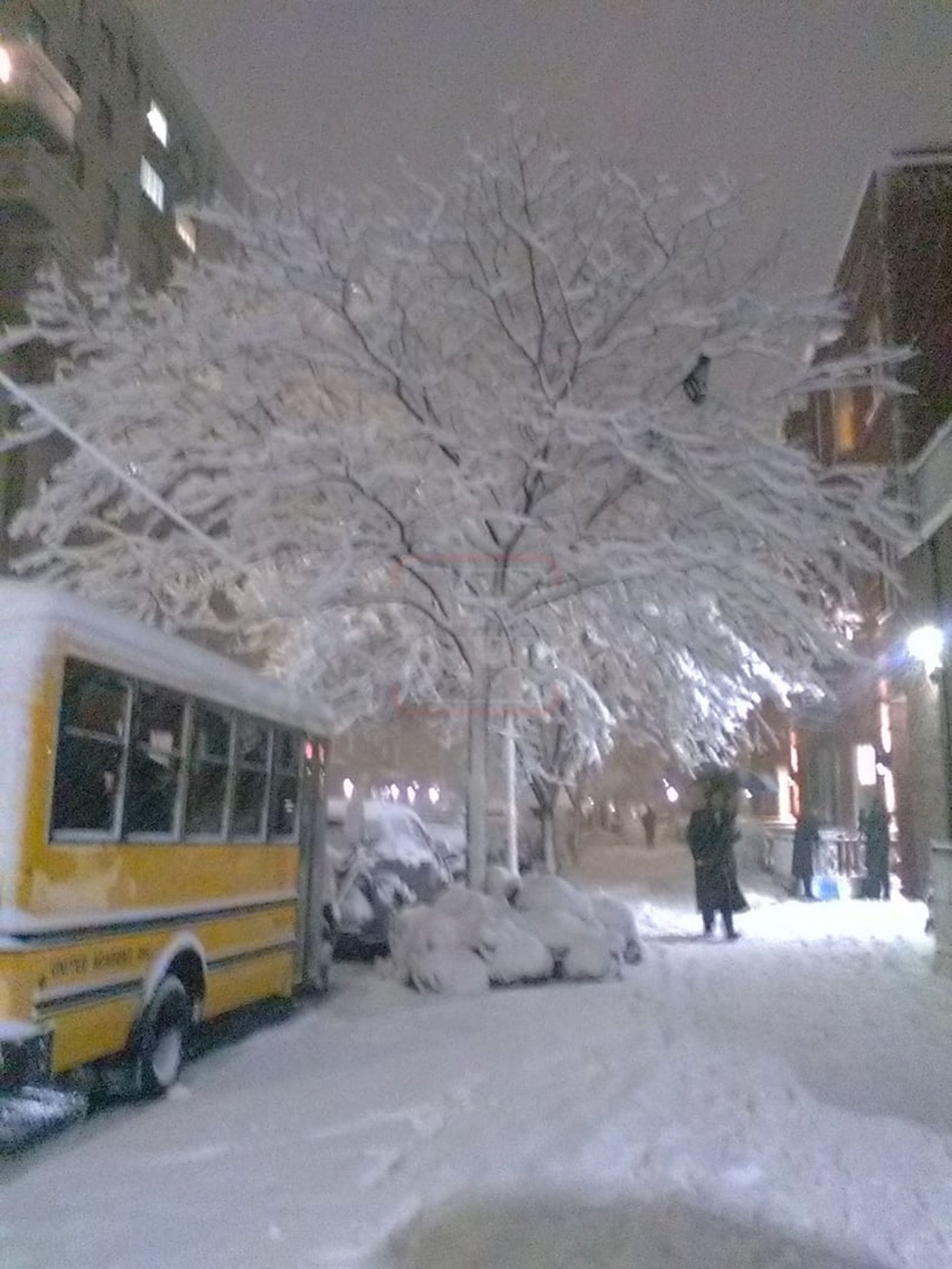 מראות השלג בארה"ב  - אדר תשפ"ו