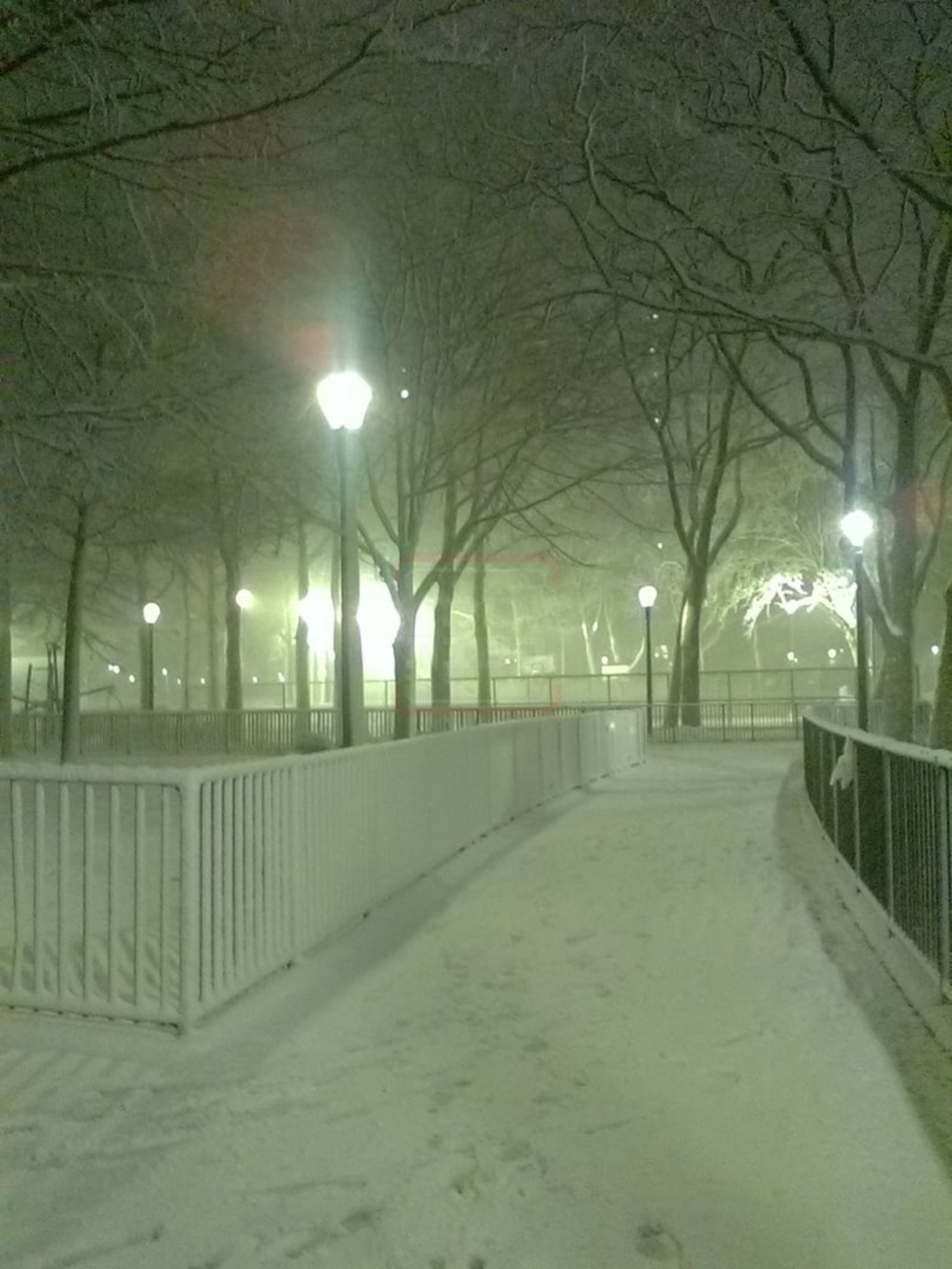 מראות השלג בארה"ב  - אדר תשפ"ו