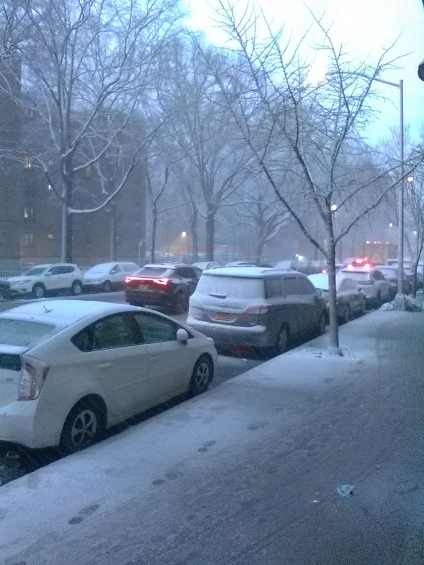 מראות השלג בארה"ב  - אדר תשפ"ו