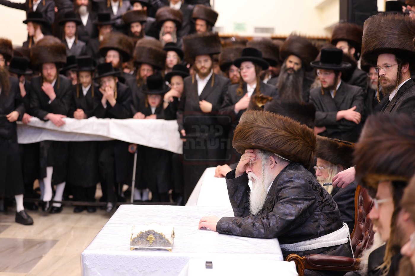 מוצאי שבתא דריגלא בנדבורנה ירושלים