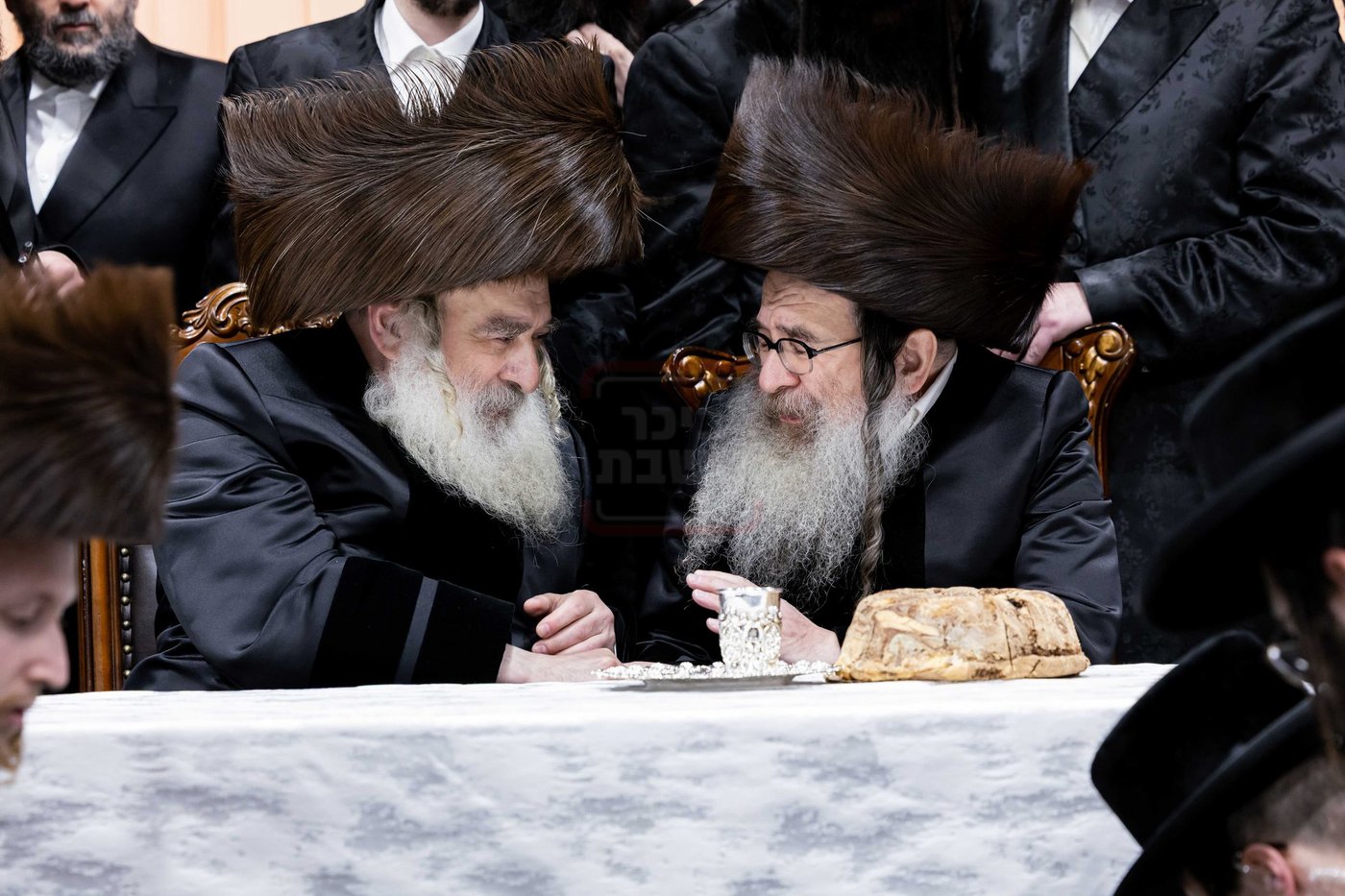 שמחת בית קראלי - סטאניסלאוו 