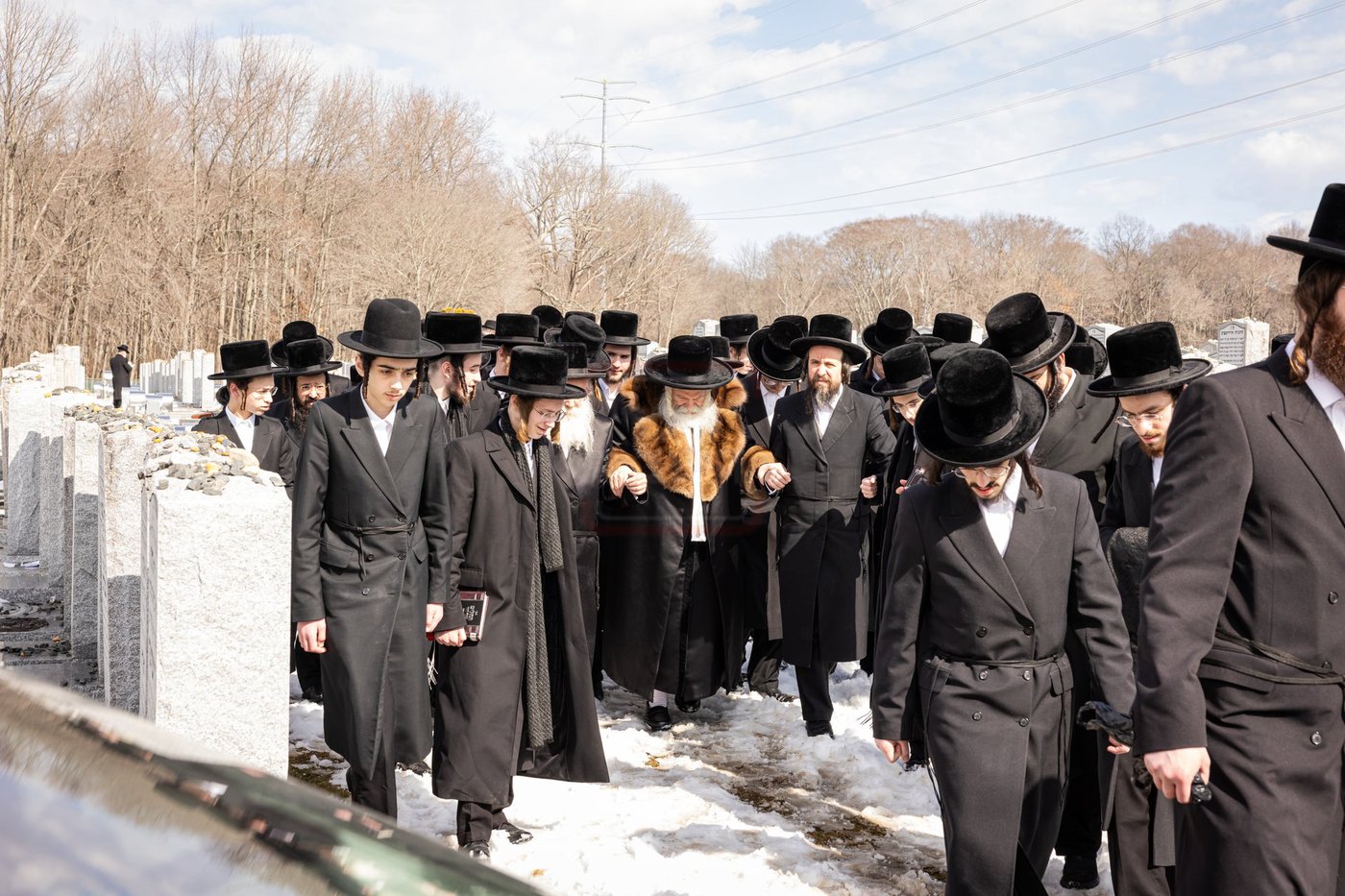 הילולא קדישא בבאבוב