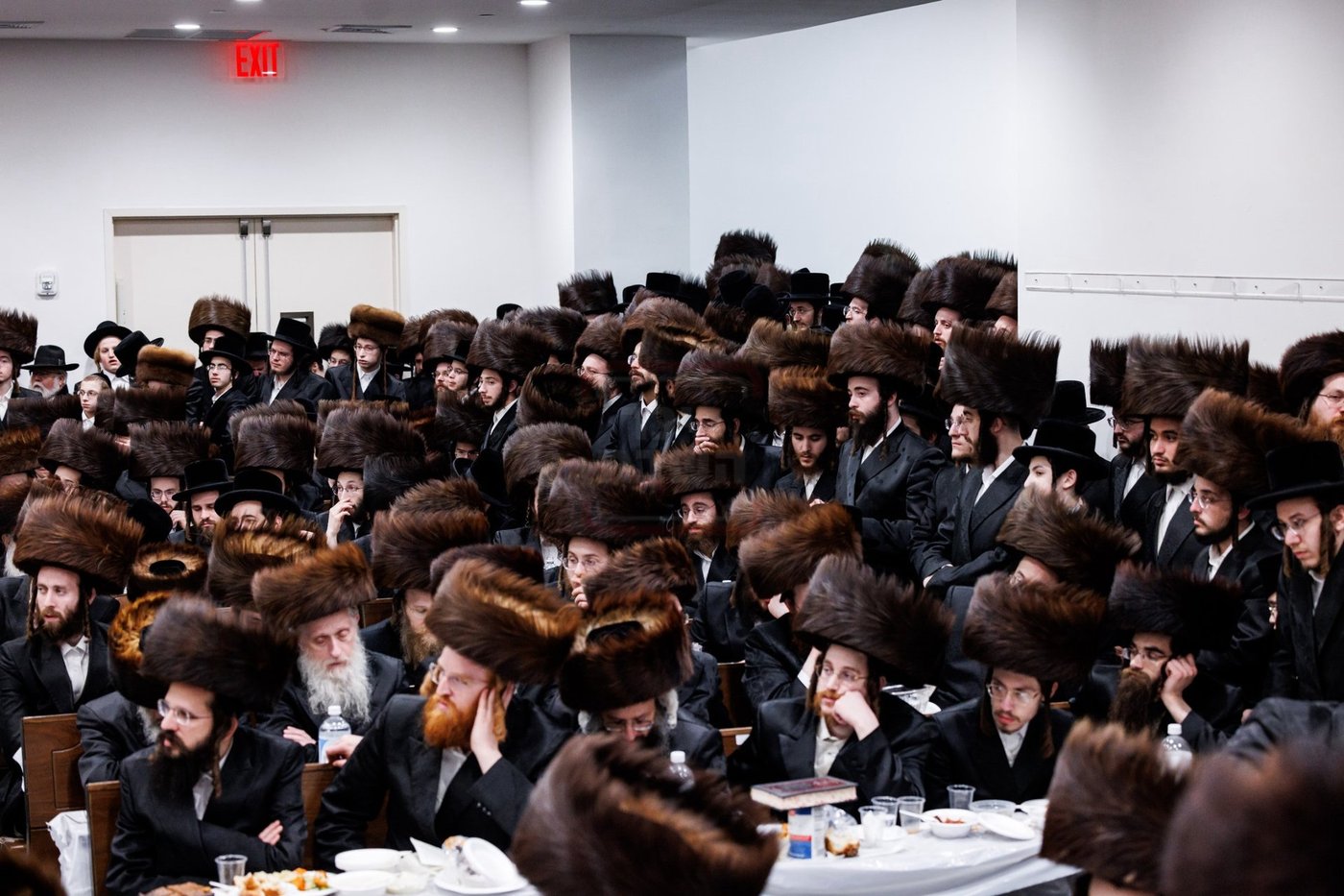 הילולא קדישא בבאבוב 45